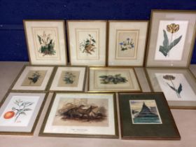 A quantity of decorative framed and glazed pictures and prints, including botanical interest, as