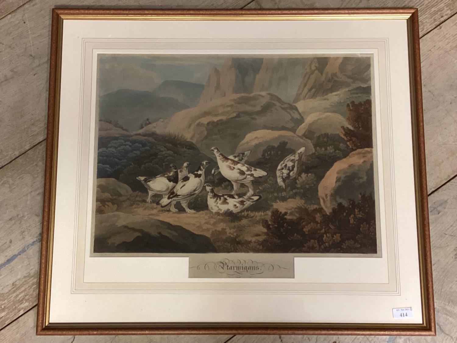 A framed and glazed coloured aquatint, after Reinagle, Ptarmigan, 43cm x53cm