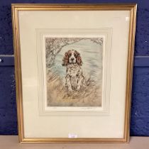 A gilt framed, glazed and mounted print of a SPringer Spaniel, signed in pencil lower right Henry