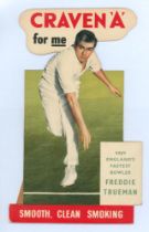 ‘Craven ‘A’ for me says England’s fastest bowler Freddie Trueman’ c.1950. Original colour
