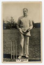 Frank Edward Woolley. Kent & England 1906-1938. Phillips ‘Pinnace’ premium issue cabinet size mono