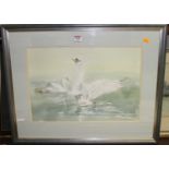 Leslie Marsh - Swans, watercolour, signed lower right, 35x50cm
