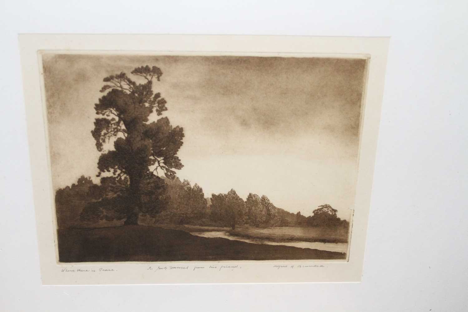 Alfred Blundell (1883-1968) - The river at Earlham, etching, signed and titled in pencil to the - Image 3 of 5