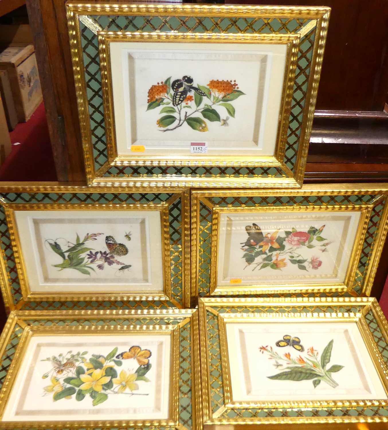 A set of five botanical and insect watercolour studies on pith paper, within silk borders, each 16 x