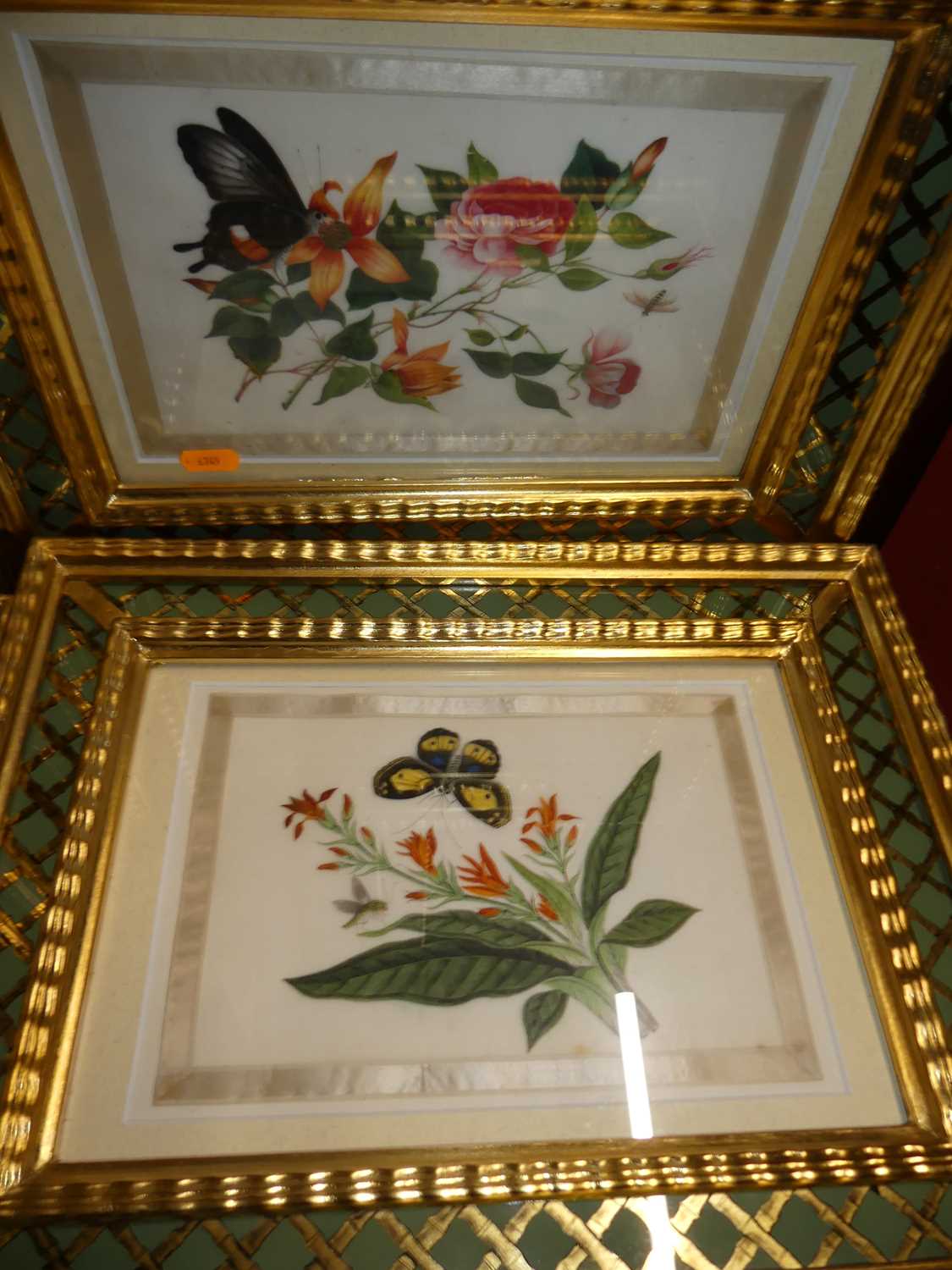 A set of five botanical and insect watercolour studies on pith paper, within silk borders, each 16 x - Image 3 of 6