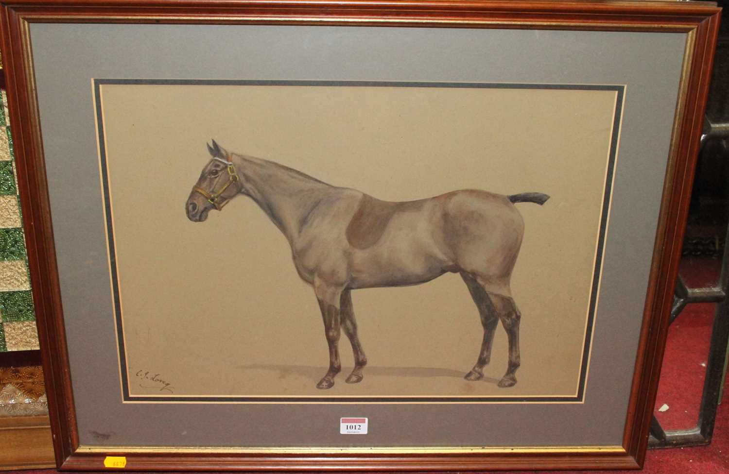 CJ Loreg - Study of a Bay Thoroughbred, watercolour, signed lower left, 35x51cm