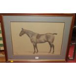 CJ Loreg - Study of a Bay Thoroughbred, watercolour, signed lower left, 35x51cm