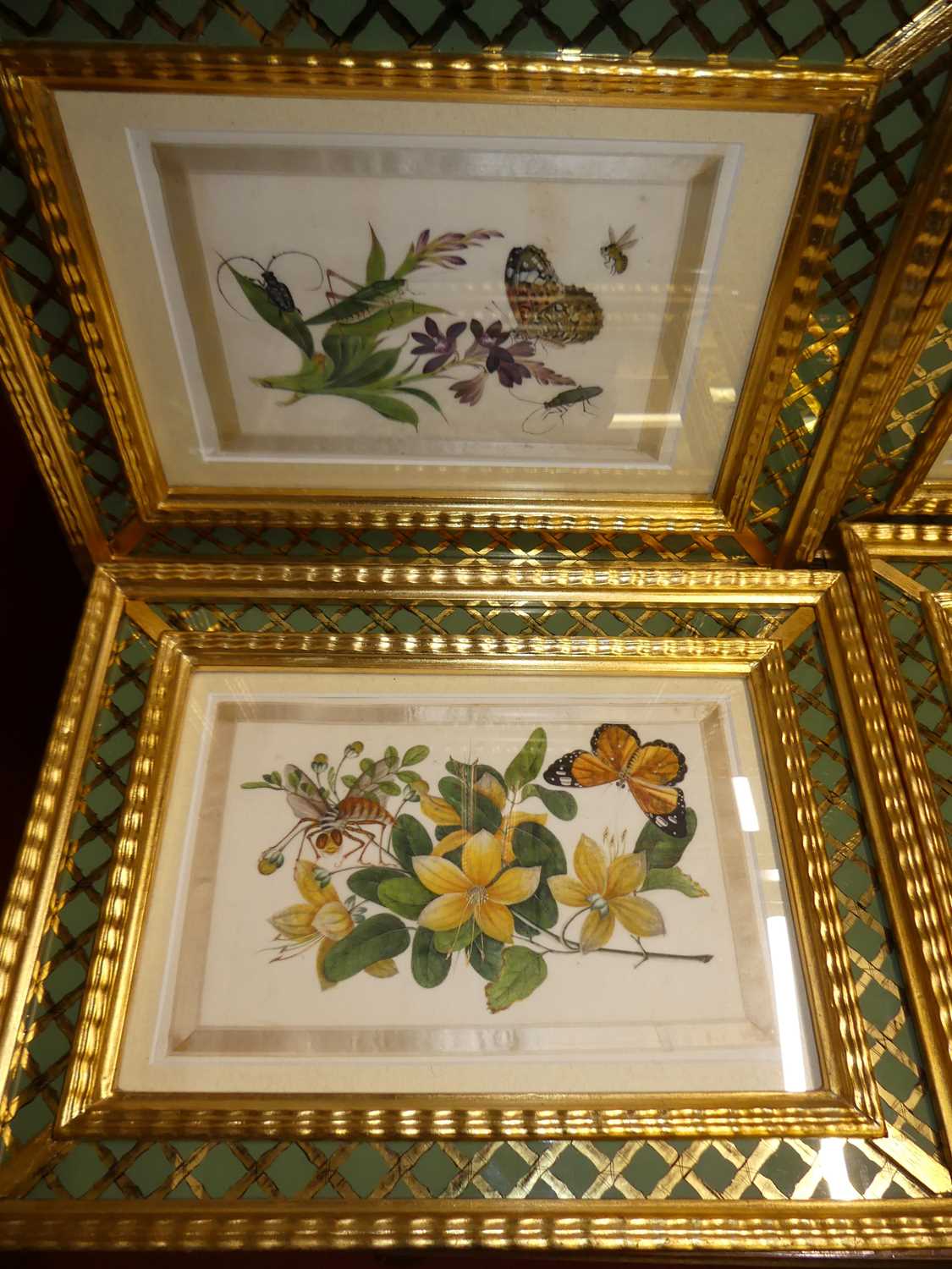 A set of five botanical and insect watercolour studies on pith paper, within silk borders, each 16 x - Image 2 of 6