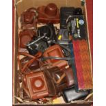 A collection of vintage, mainly SLR, cameras