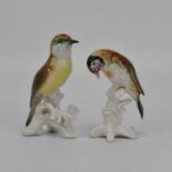 Two Karl Ens porcelain models of birds, largest height 13cm No apparent faults.