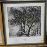 M Mitchell, 20th century, Hawthorn, lithograph, limited edition 9/10 28x29cm