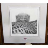 Gary Hodges - Cheetah Cub, monochrome print No. 514/860