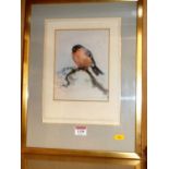 Ian Armour-Chelu - Cock Bullfinch, watercolour, signed lower right, 19x15cm