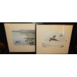 A set of four early 20th century sporting prints; Pheasants, Tufted Duck, Teal, and French