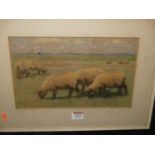 English school - Sheep grazing, pastel, signed with monogram and dated 1900 lower left, 19x30cm