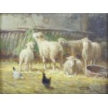 Charles Clair (1860-1930) - Farmyard scene with sheep and chickens, oil on panel, signed lower left,