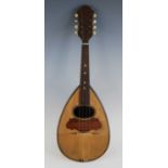 A 19th century Italian mandolin, having a bowl back and spruce top with rosewood fingerboard and