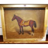 Charles F Davy - study of a bay thoroughbred in its stable, oil on canvas, signed lower right, 42