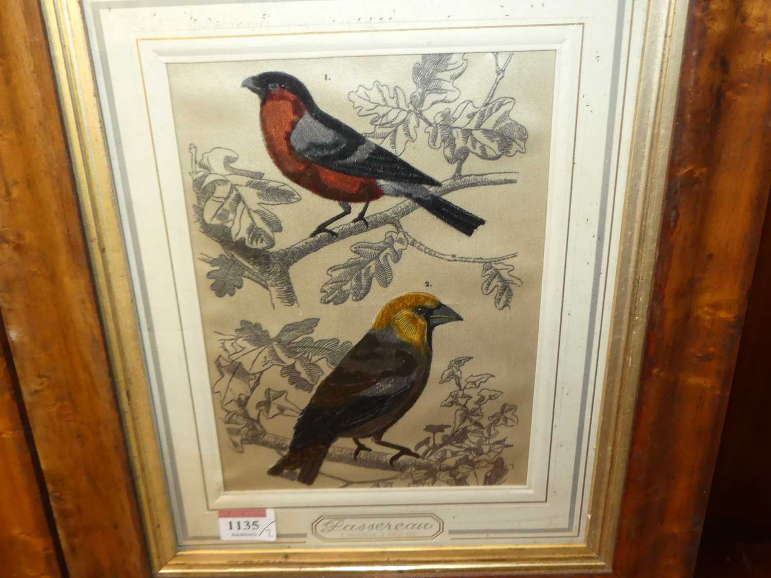 A pair of French colour prints of birds upon branches, 22 x 17cm, each in glazed maple frames - Image 4 of 5