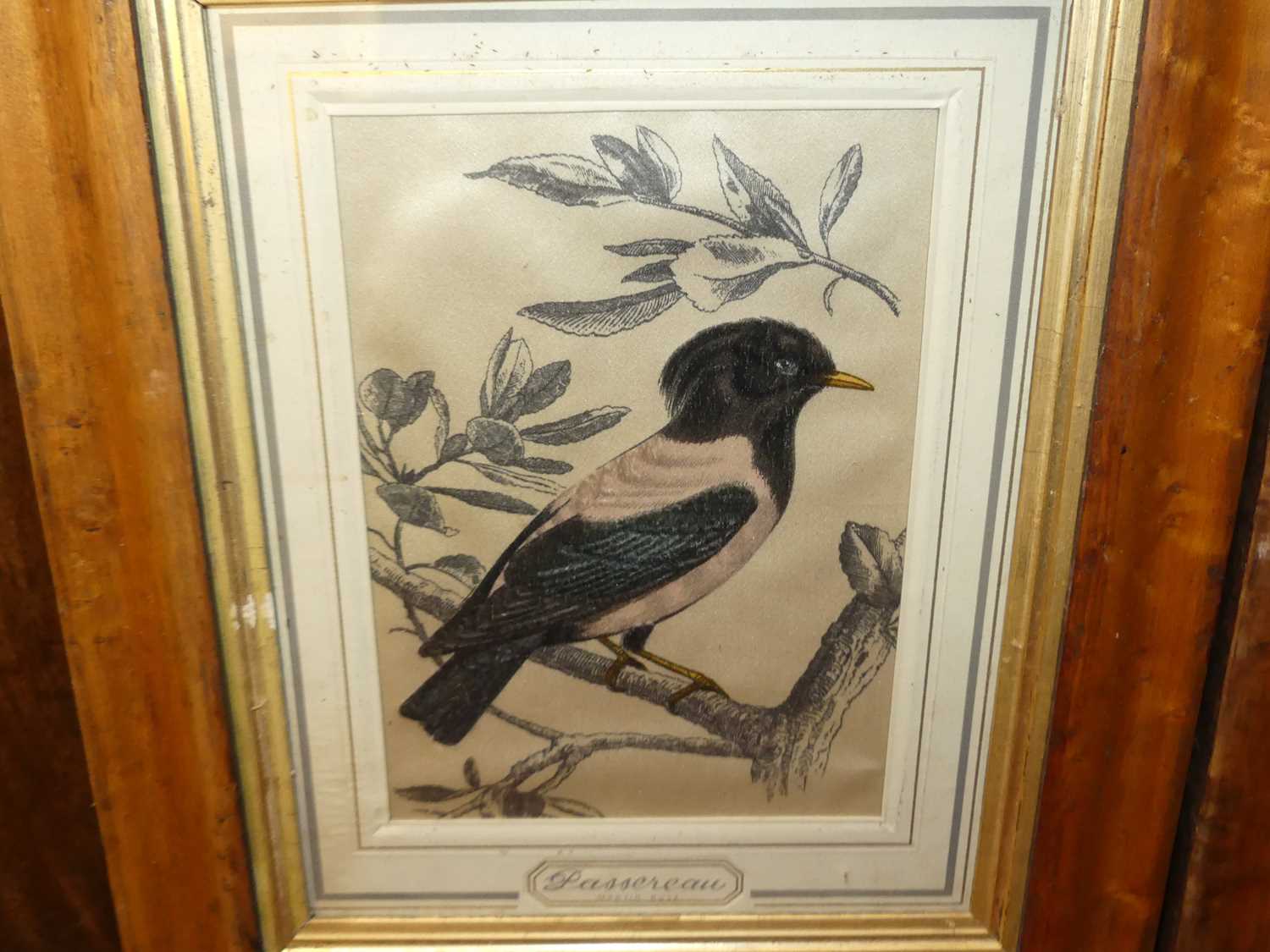 A pair of French colour prints of birds upon branches, 22 x 17cm, each in glazed maple frames - Image 2 of 5