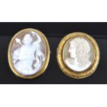 Two yellow metal shell cameo brooches, one depicting a Goddess wearing a lion's pelt within a rope