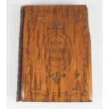 Craig, Eric: New Zealand Ferns, circa 1880, a large album of mounted specimen ferns, each with