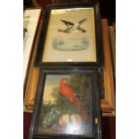 Assorted pictures and prints to include study of a prize bull; 19th century oil on canvas, after