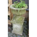 A concrete circular squat pedestal garden planter, height 41cm, raised on conforming square pedestal