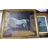 Mid-20th century school - Study of a grey thoroughbred in his stable, oil on canvas, 67 x 79cm;