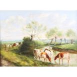 William Sidney Cooper (1854-1927) - Cattle watering in a river landscape, oil on canvas (re-