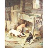 Walter Hunt (1861-1941) - Terriers ratting in a stable, oil on canvas, signed lower left, 75 x 61cm