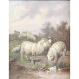 Adolf Nowey (c.1835-?) - Sheep at a pond, oil on panel, signed lower right, 25 x 20cm