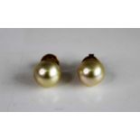 A pair of yellow metal Golden South Sea pearl stud earrings by Schoeffel, each featuring a 10.9mm