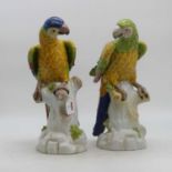 A pair of porcelain models of parrots, each shown perched upon a stump, height 41cm
