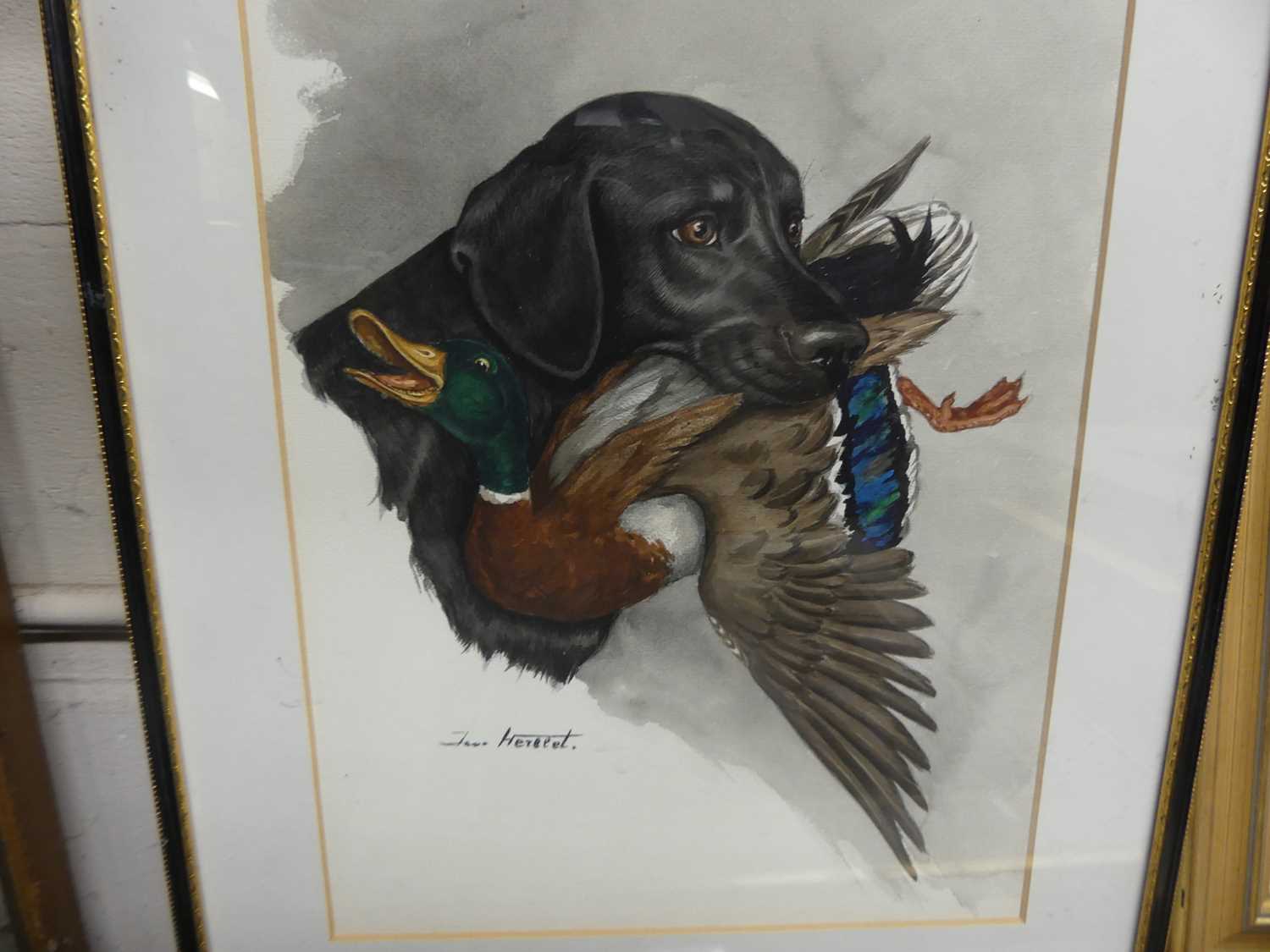 J Herbeet - Labrador with duck, watercolour, signed lower left, 37 x 26cm - Image 2 of 3