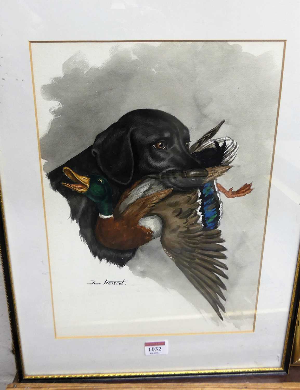 J Herbeet - Labrador with duck, watercolour, signed lower left, 37 x 26cm