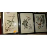 A set of five Chinese watercolours on rice paper, each depicting birds upon branches, each 17 x 10.