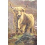 William Watson (1831-1921) - Highland bull, oil on canvas, signed and dated 1883 lower right, 44 x