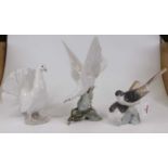 A Lladro porcelain figure of a dove with a fanned tail, h. 19cm, together with two other Lladro