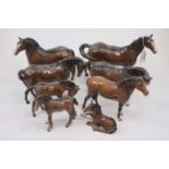 A collection of eight various Beswick horses and foals, each in brown gloss finish (8)