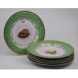A set of six continental dinner plates, each decorated with a shell to the centre within gilt border