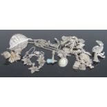 Assorted silver and white metal costume jewellery, to include charm bracelet, brooches, chains etc