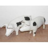 A pair of fibre glass butcher's pigs, 56cm each (a/f)