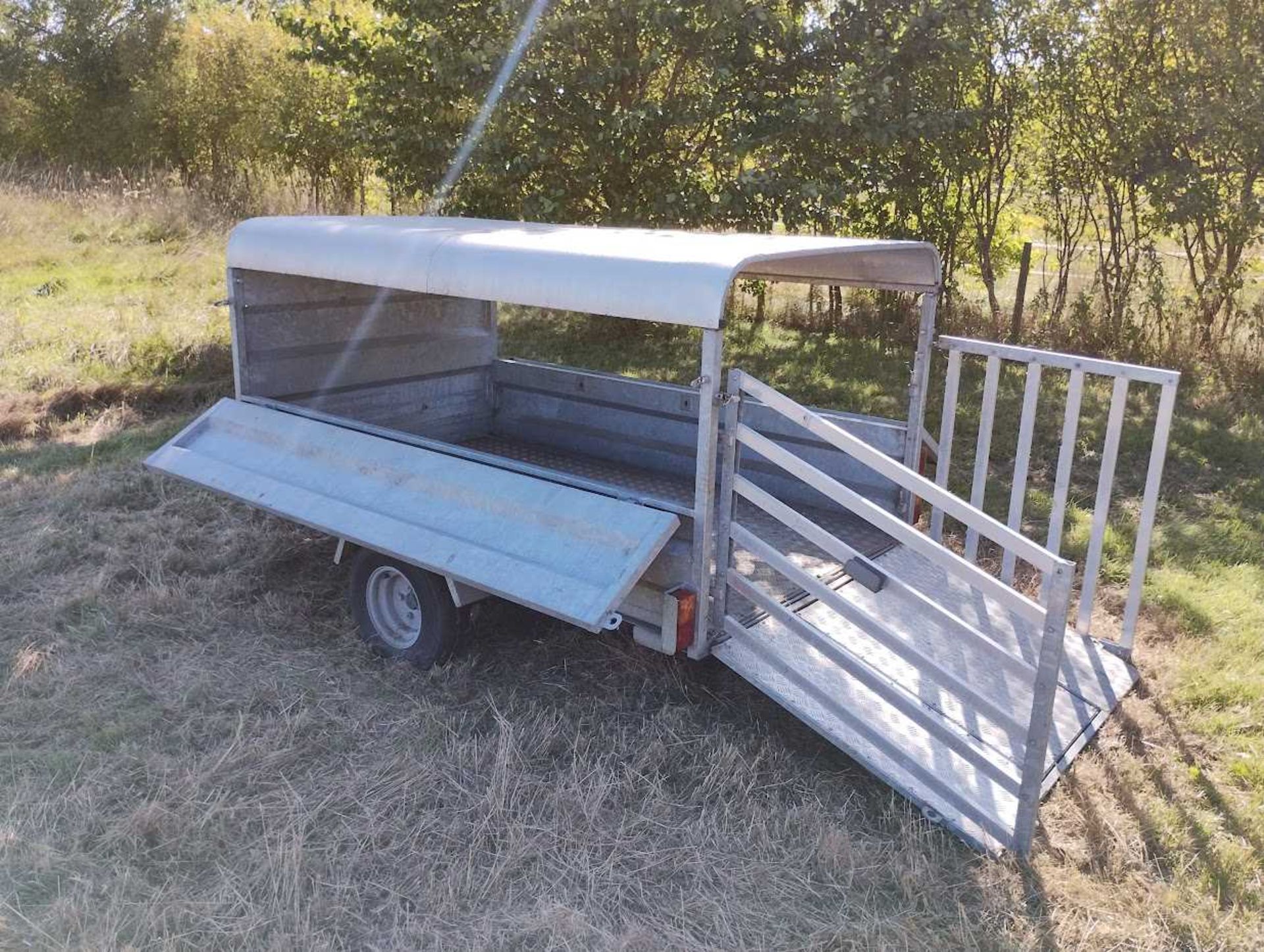 ATV Sheep Trailer with drop sides, dual door and canopy (Located in Gislingham) - NO VAT - Image 6 of 8