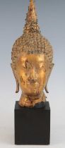 A gilt bronze head of Buddha Shakyamuni, modelled with tightly curled hair, serene face and