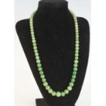 A single row of 71 graduated jadeite beads, strung plain to a yellow metal barrel clasp, bead