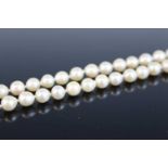 A cultured pearl single knotted string necklace, with white metal clasp, length 91cm Clasp in good