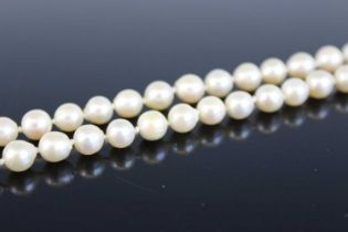 A cultured pearl single knotted string necklace, with white metal clasp, length 91cm Clasp in good