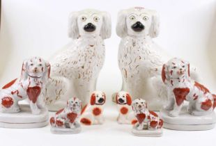 A collection of eight Victorian and later Staffordshire models of spaniels, the largest h.32cm