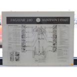 A Jaguar 240 maintenance chart, mounted under perspex, 52 x 69.5, together with a Jaguar 240